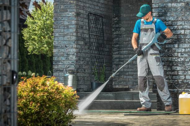 Best Spring Cleaning  in Jackson, AL