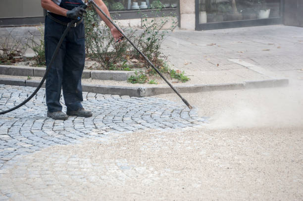 Best Gutter Cleaning  in Jackson, AL