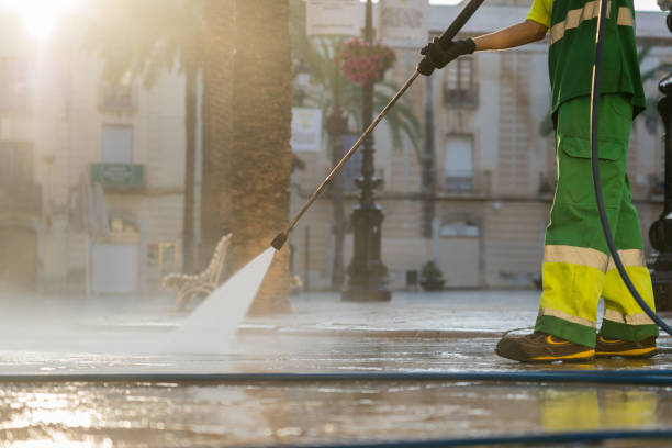 Best Driveway Pressure Washing  in Jackson, AL